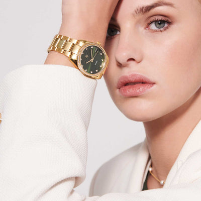 AURORA WATCH